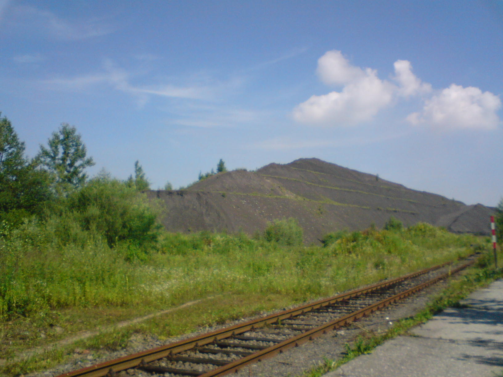 DSC00150.JPG