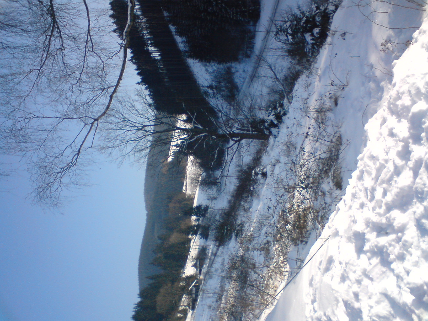 DSC00094.JPG