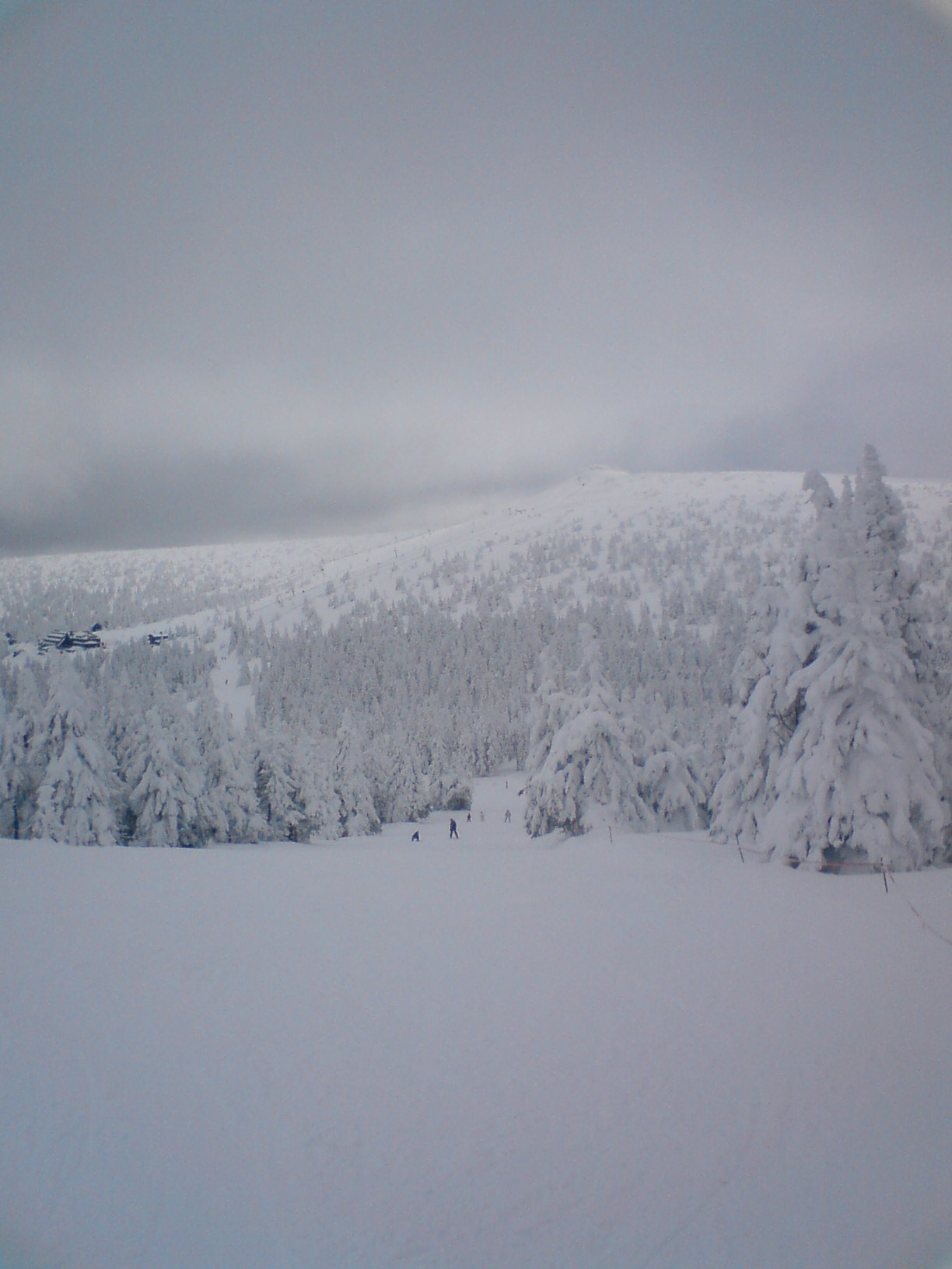 DSC00265.JPG